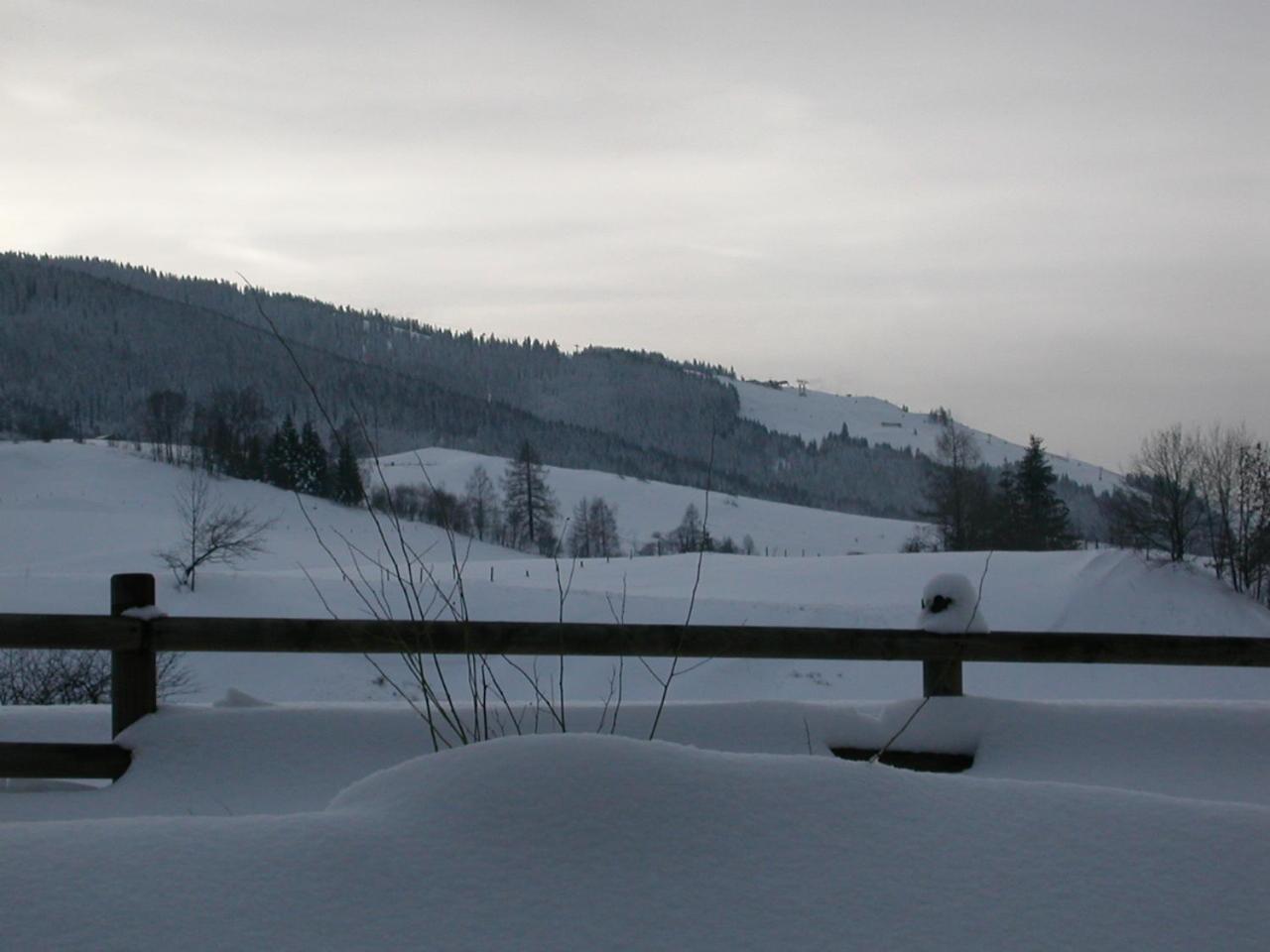 Gourmet-Hotel Gruenwald Leogang Esterno foto